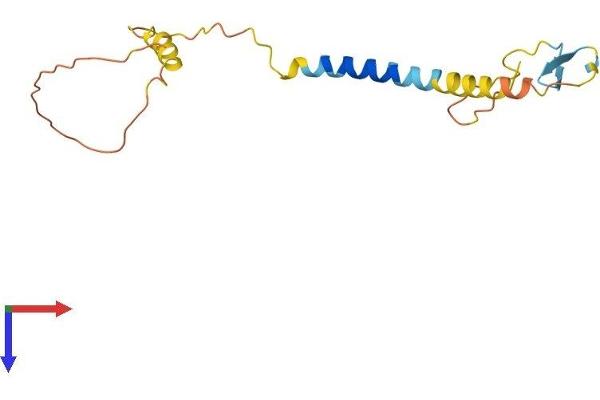 KLRC4 Protein (AA 1-158) (His tag)