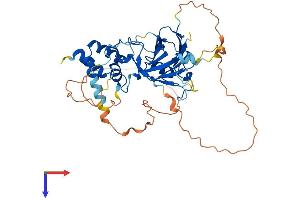 SMAD7 Protein (AA 1-426) (His tag)