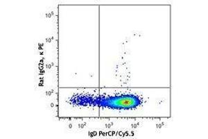 Flow Cytometry (FACS) image for anti-B-Cell CLL/lymphoma 6 (BCL6) antibody (PE) (ABIN2662402) (BCL6 Antikörper  (PE))