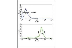 CALR Antibody (ABIN652259 and ABIN2841097) flow cytometric analysis of HepG2 cells (bottom histogram) compared to a negative control cell (top histogram). (Calreticulin Antikörper)