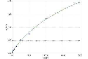 Neurofilament Triplet M Protein (NEFM) ELISA Kit