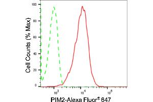 Flow cytometric analysis of PIM2 expression in HepG2 cells using PIM2 antibody (ABIN7800049), 1:2,000).