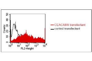 FACS analysis of BOSC23 cells using 9A6. (CEACAM6 Antikörper)