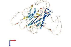 MYRIP Protein (AA 1-859) (His tag)