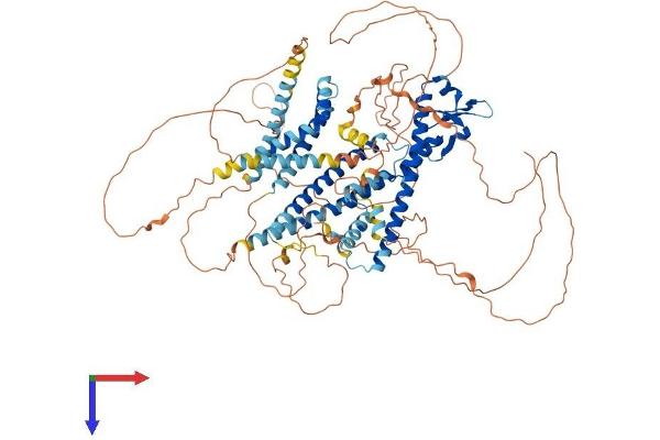 MYRIP Protein (AA 1-859) (His tag)