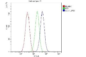 Flow Cytometry analysis of HepG2 cells using anti-CCT7 antibody (ABIN5692966). (CCT7 Antikörper  (AA 30-307))