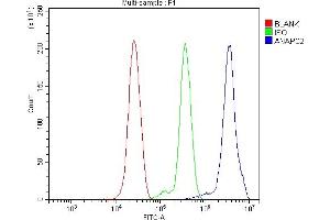 Flow Cytometry analysis of THP-1 cells using anti-ANAPC2 antibody (ABIN7601930). (ANAPC2 Antikörper  (AA 51-272))