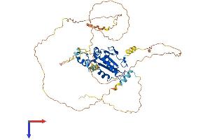 CDC25A Protein (AA 1-514) (His tag)