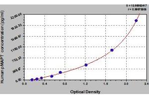 Microtubule-Associated Protein tau (MAPT) ELISA Kit