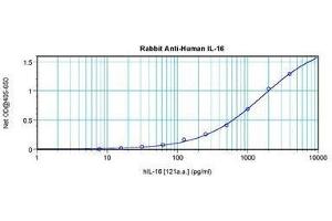 Image no. 3 for anti-Interleukin 16 (IL16) antibody (ABIN465148) (IL16 Antikörper)