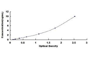 Typical standard curve (ARL1 ELISA Kit)