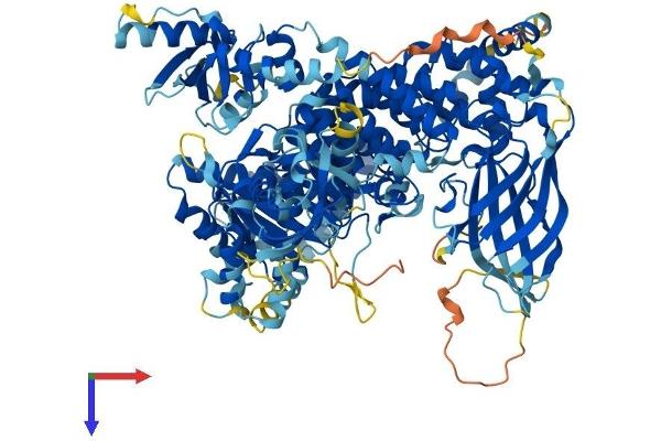 PIK3CB Protein (AA 1-1064) (His tag)