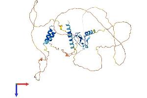 INTS12 Protein (AA 1-461) (His tag)