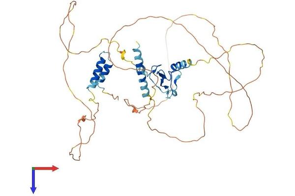INTS12 Protein (AA 1-461) (His tag)