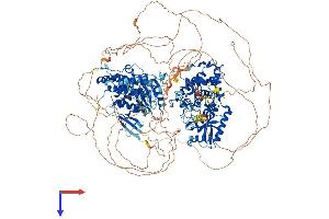 ZCCHC6 Protein (AA 1-1495) (His tag)
