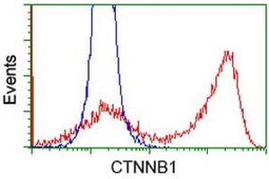 HEK293T cells transfected with either RC208947 overexpress plasmid (Red) or empty vector control plasmid (Blue) were immunostained by anti-CTNNB1 antibody (ABIN2454169), and then analyzed by flow cytometry. (CTNNB1 Antikörper)