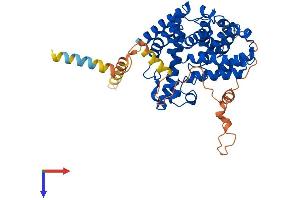 PDE7A Protein (AA 1-456) (His tag)