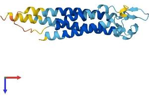TM4SF1 Protein (AA 1-202) (His tag)