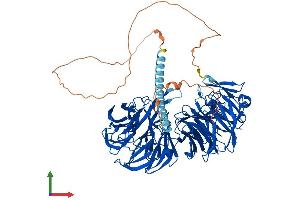 Protein Structure (PS) image for Echinoderm Microtubule Associated Protein Like 1 (EML1) (AA 1-815) protein (His tag) (ABIN7553783)