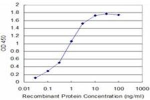 Detection limit for recombinant GST tagged FADD is approximately 0. (FADD Antikörper  (AA 109-208))