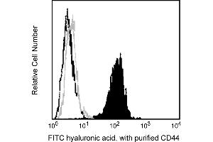 Flow Cytometry (FACS) image for anti-CD44 (CD44) antibody (ABIN1176842)