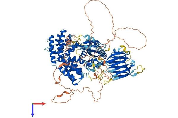 PIK3R5 Protein (AA 1-880) (His tag)