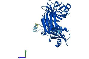 Protein Structure (PS) image for Adaptor-Related Protein Complex 3, mu 2 Subunit (AP3M2) (AA 1-418) protein (His tag) (ABIN7559703)