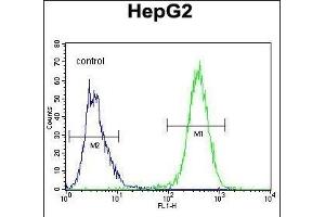 UBFD1 Antibody (N-term) (ABIN655026 and ABIN2844657) flow cytometric analysis of HepG2 cells (right histogram) compared to a negative control cell (left histogram). (UBFD1 Antikörper  (N-Term))