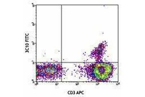 Flow Cytometry (FACS) image for anti-TCR V Alpha7.2 antibody (FITC) (ABIN2662017) (TCR V Alpha7.2 Antikörper (FITC))