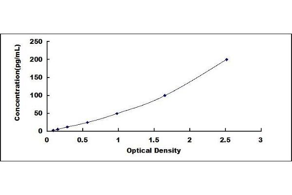 C5 ELISA Kit