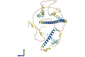 Protein Structure (PS) image for Fibrous Sheath Interacting Protein 1 (FSIP1) (AA 1-435) protein (His tag) (ABIN7560961)