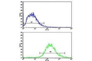 Flow Cytometry (FACS) image for anti-C-Mer Proto-Oncogene Tyrosine Kinase (MERTK) antibody (ABIN3030229)