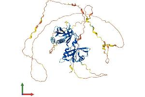Protein Structure (PS) image for SH3-Domain Binding Protein 2 (SH3BP2) (AA 1-559) protein (His tag) (ABIN7556905)