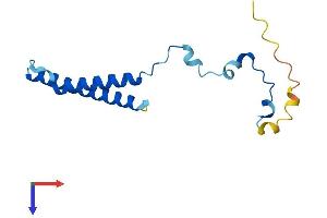 MMGT1 Protein (AA 1-131) (His tag)