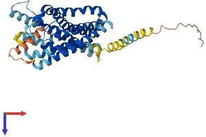 FPR1 Protein (AA 1-364) (His tag)