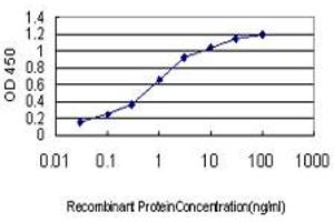 Detection limit for recombinant GST tagged KCNA3 is approximately 0. (KCNA3 Antikörper  (AA 424-523))