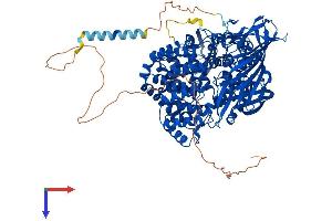 LNPEP Protein (AA 1-1025) (His tag)