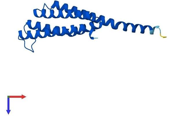 LTC4S Protein (AA 1-150) (His tag)