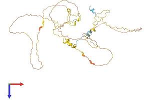 Fam53a Protein (AA 1-398) (His tag)