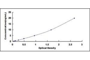 Typical standard curve (CUBN ELISA Kit)