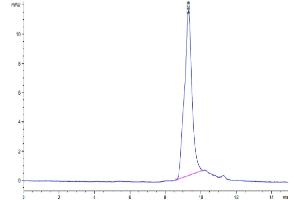 Size-exclusion chromatography-High Pressure Liquid Chromatography (SEC-HPLC) image for Vascular Endothelial Growth Factor C (VEGFC) (AA 103-227) protein (His-Avi Tag) (ABIN7275829)