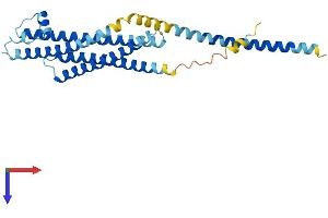Syntaxin 1B Protein (STX1B) (AA 1-288) (His tag)