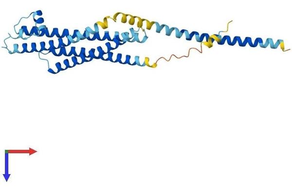 Syntaxin 1B Protein (STX1B) (AA 1-288) (His tag)
