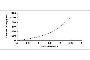 Typical standard curve (BMP2 ELISA Kit)