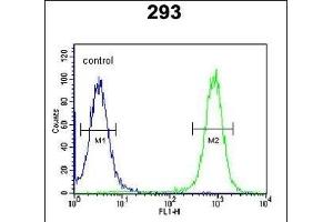 EPC2 Antibody (N-term) (ABIN651410 and ABIN2840221) flow cytometric analysis of 293 cells (right histogram) compared to a negative control cell (left histogram).