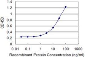 ELISA image for anti-Clathrin Interactor 1 (CLINT1) (AA 161-262) antibody (ABIN599495) (CLINT1 Antikörper  (AA 161-262))