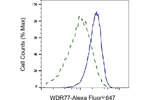 Flow cytometric analysis of WDR77 expression in HeLa cells using WDR77 antibody (ABIN7800857), 1:2,000). (WDR77 Antikörper)