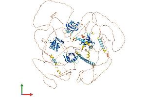 Protein Structure (PS) image for Par-3 Partitioning Defective 3 Homolog (PARD3) (AA 1-1333) protein (His tag) (ABIN7564919)