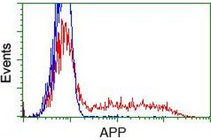 Image no. 2 for anti-Amyloid beta (A4) Precursor Protein (APP) antibody (ABIN1496880) (APP Antikörper)
