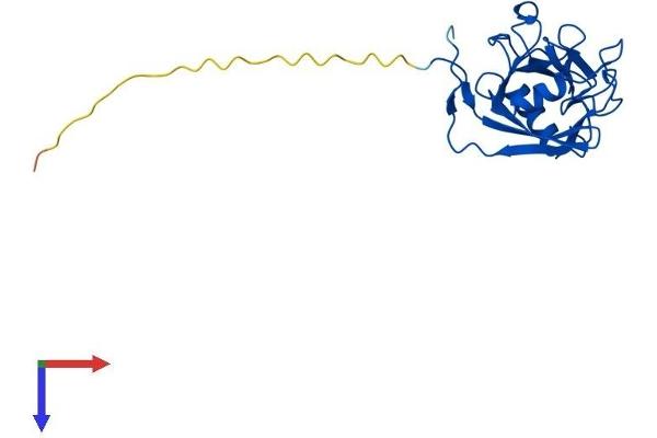 PPIC Protein (AA 1-212) (His tag)
